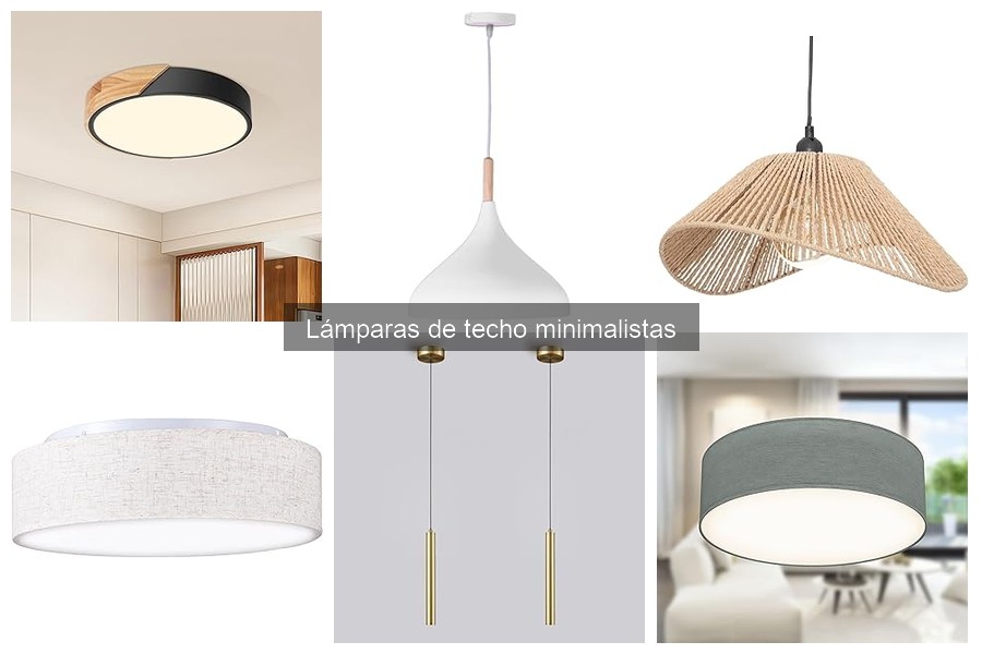 Precios de lámparas de techo minimalistas: opciones y análisis